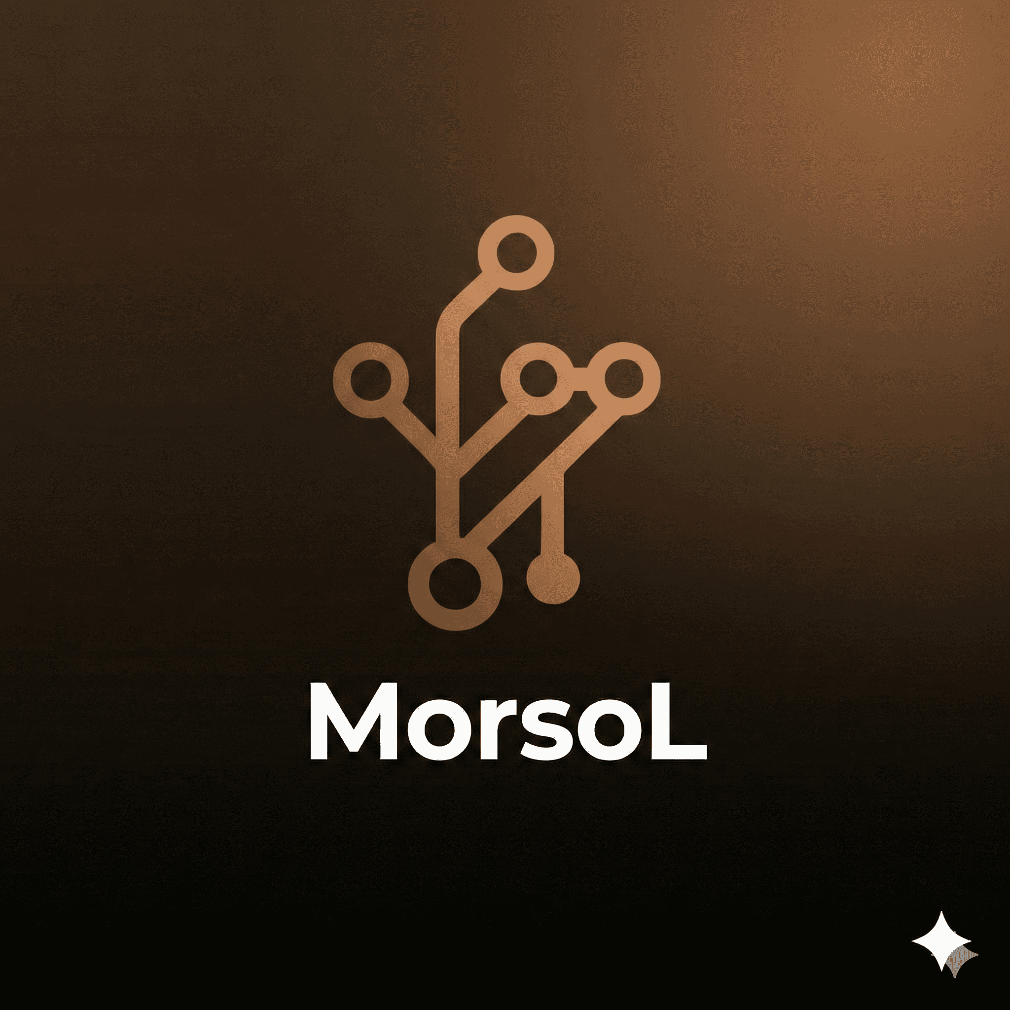 MorSoL Digital Excellence